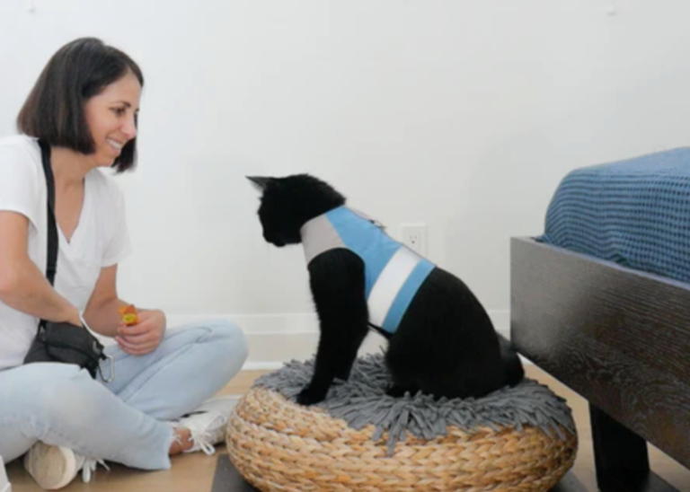 woman sitting on floor with black cat working on training